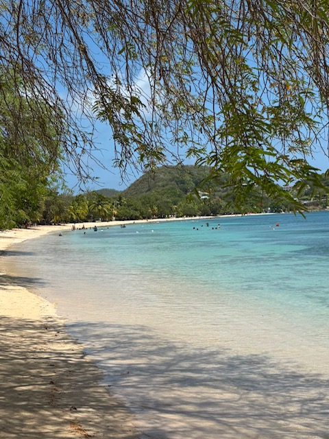 la pointe marin