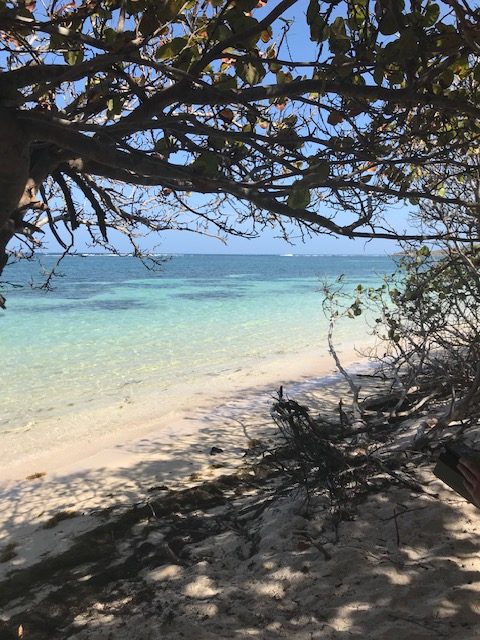 Anse Michel plage sud Martinique