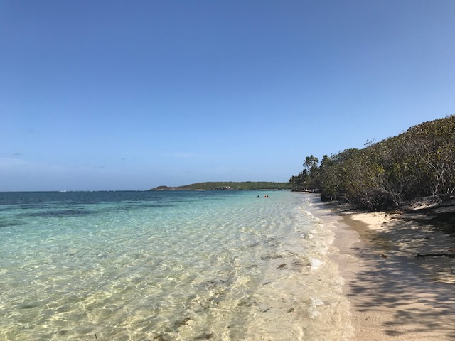 Anse Michel Sainte Anne Martinique