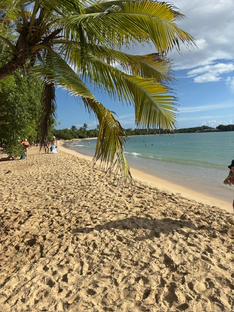 Les Salines