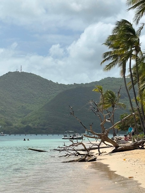 la pointe marin
