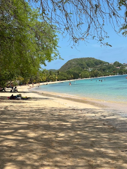 la pointe marin